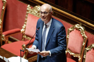 Crisi governo: D'Incà, tregua tra Conte e Draghi o Pnrr a rischio