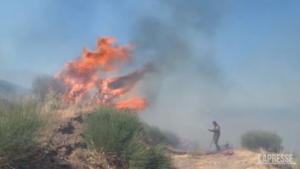 Grecia: la battaglia dei vigili del fuoco contro gli incendi