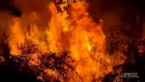 Incendi in Spagna: la lotta tra le fiamme dei vigili del fuoco