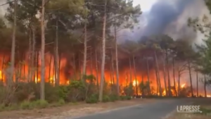 Incendi: roghi in tutta Europa, situazione difficile in Francia