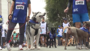 Il Perù celebra la ‘Giornata Internazionale del cane’