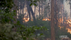 Usa: viaggio tra le fiamme a Yosemite park, l’incendio è ancora fuori controllo