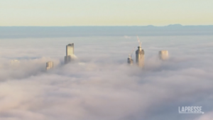 Australia, Sydney avvolta dalla nebbia: le spettacolari immagini dall’alto