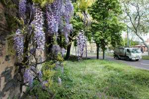 Proteste per Floyd, a Seattle nuove barricate di cemento e legno per proteggere il Campidoglio