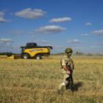 Grano, ecco cosa prevede l’accordo siglato da Russia e Ucraina – SCHEDA