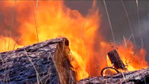 Usa, incendi in California: l’Oak Fire cresce e minaccia lo Yosemite National Park