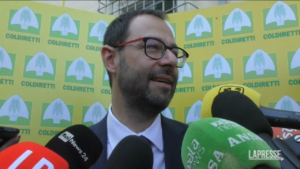M5S, Patuanelli: “Due mandati? Disperdere le competenze è un errore, le qualità si trattengono”