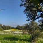 Energia, Edison rileva da Axpo un impianto eolico in Campania