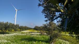 Energia, Edison rileva da Axpo un impianto eolico in Campania