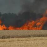Ucraina, a fuoco decine di campi di grano vicini al fronte