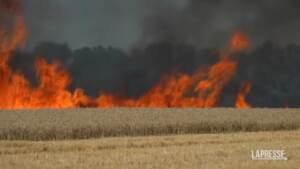 Ucraina, a fuoco decine di campi di grano vicini al fronte