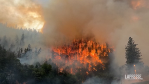 California, gli incendi devastano la Klamath National Forest
