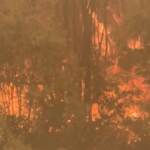 Usa: fuori controllo gli incendi in California, caldo e vento forte alimentano le fiamme