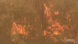 Usa: fuori controllo gli incendi in California, caldo e vento forte alimentano le fiamme