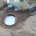 Calabria, scoperte 5 piantagioni di marijuana per un valore di oltre mezzo milione di euro