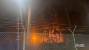 Berlino: incendio nel bosco di Grunewald, 15.000 metri quadri in fiamme