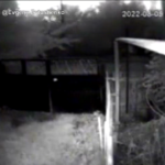Ucraina, il bombardamento notturno da parte dei russi su Nikopol: le immagini riprese da una telecamere di videosorveglianza