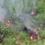 Russia, incendi in Siberia: impegnati oltre 1.500 Vigili del Fuoco