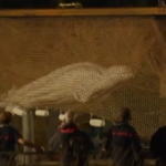 Francia: è morto il beluga che era bloccato nella Senna