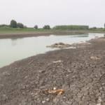 Siccità: anche il Danubio soffre, nel nord della Serbia pesci morti e navigazione quasi impossibile