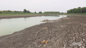 Siccità: anche il Danubio soffre, nel nord della Serbia pesci morti e navigazione quasi impossibile