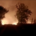 Francia: oltre 1.000 pompieri impegnati in Gironda per spegnere il maxi-incendio