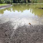 Estate: allerta inquinamento per mari e laghi, il 32% delle acque è oltre i limiti legge