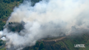 Brucia l’Inghilterra: incendi boschivi nel Surrey