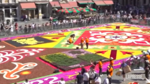 Belgio: enorme tappeto di fiori in piazza, la creazione in time-lapse