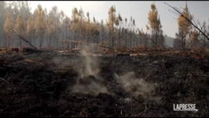 Francia, vigili del fuoco di nuovo in allerta per gli incendi che stanno colpendo l’area della Gironda