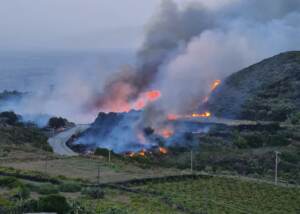 Pantelleria: la Procura apre un’inchiesta sul rogo. Il sindaco: “Chi sa qualcosa parli”