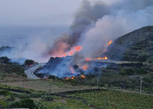 Incendi: vasto rogo a Pantelleria, danni ingenti a case e vegetazione
