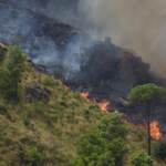Palermo, incendio nell’area boschiva di Giacalone: a fuoco ettari di verde – FOTOGALLERY