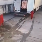 Evasione fiscale sulle bistecche: scoperta frode a Pescara