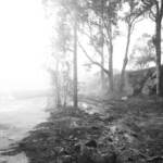 Foto Vincenzo Pipitone