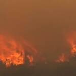 Spagna, incendi vicino a Valencia: i vigili del fuoco faticano a domare le fiamme