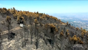 Portogallo, le immagini aree di ciò che resta della Serra da Estrela dopo il rogo