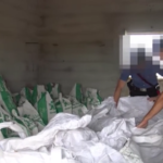 Oristano, detenzione e spaccio di stupefacenti: un arresto