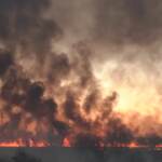 Argentina, gli incendi devastano oltre 100mila ettari di terreno