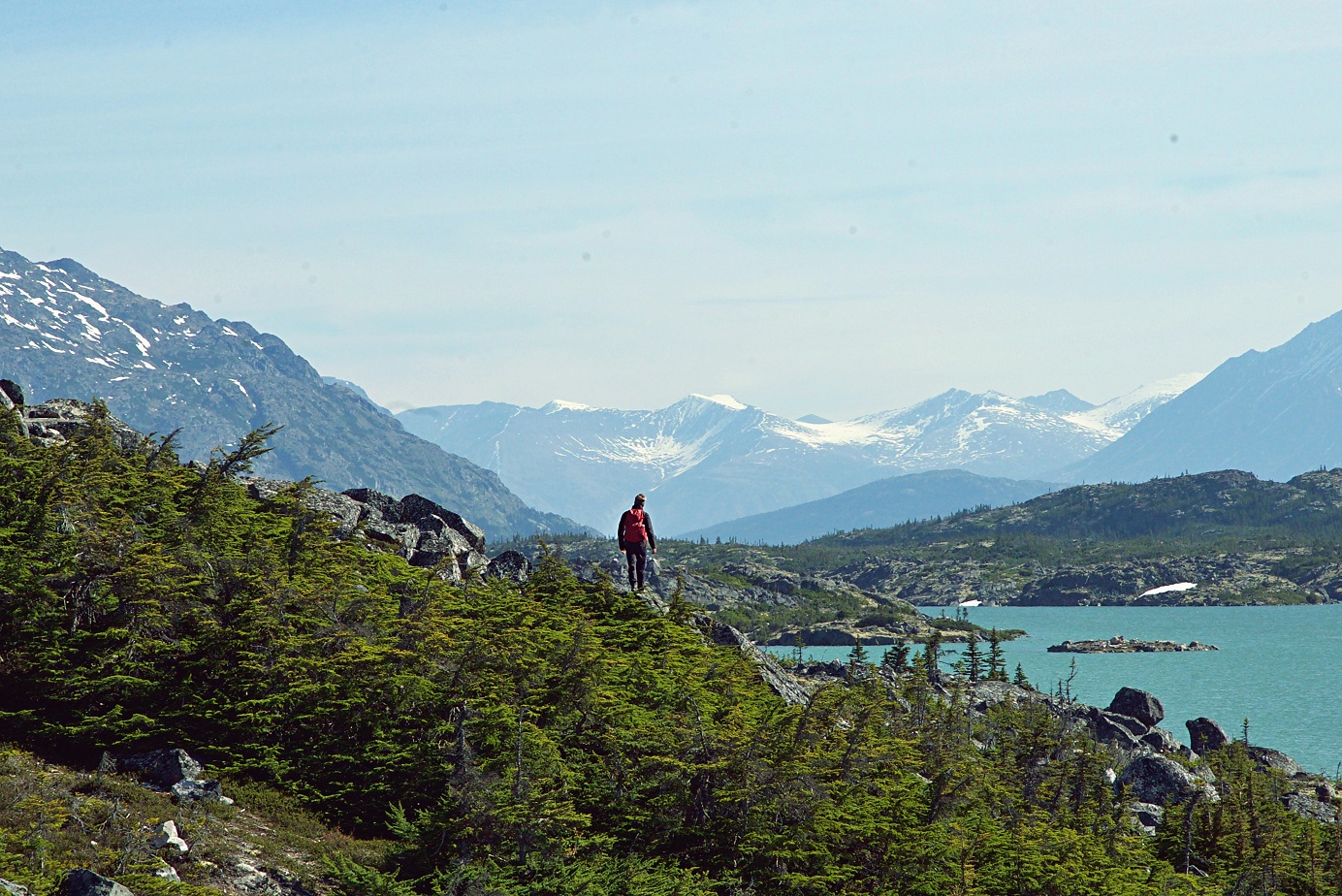 Tv: Rai Documentari presenta il viaggio di Cognetti ‘Sogni di grande nord’