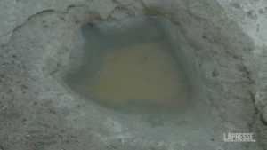 Texas: drought causes dinosaur footprints to resurface
