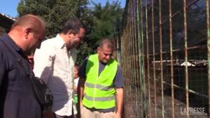 Animali, Salvini: “Inasprimento pene per chi abbandona e maltratta e meno tasse per chi adotta un amico”