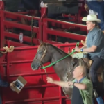 Brasile, Bolsonaro a cavallo a uno show di rodeo in vista del voto
