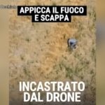 Crotone, appicca un incendio ma il drone lo riprende: incastrato dalle immagini