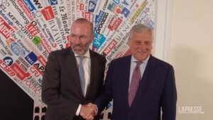 Tajani incontra Weber a Roma: “FI è forza euro-atlantista a garanzia dell’Italia”