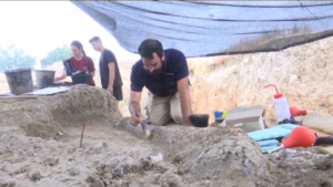 Israele: archeologi dissotterrano la zanna di un elefante preistorico