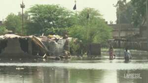 Pakistan, provincia Sindh devastata da inondazioni
