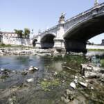 Roma, macabra scoperta nel Tevere: trovata una mucca morta in un sacco