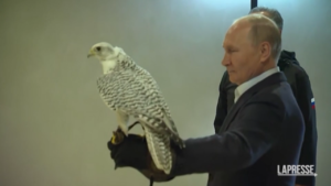 Putin, incontro ravvicinato con un falco