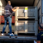 Roma: hashish nascosto tra bancali di talco e caffè all’interno di un camion, due arresti